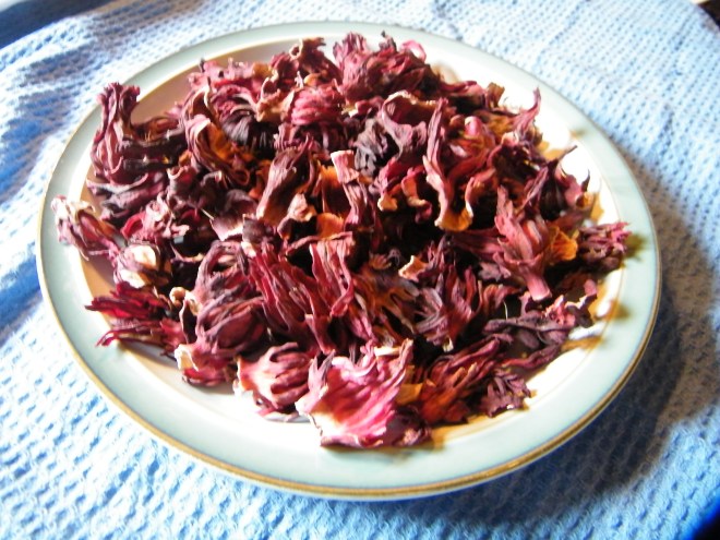 Sudanese karkadeh (hibiscus)